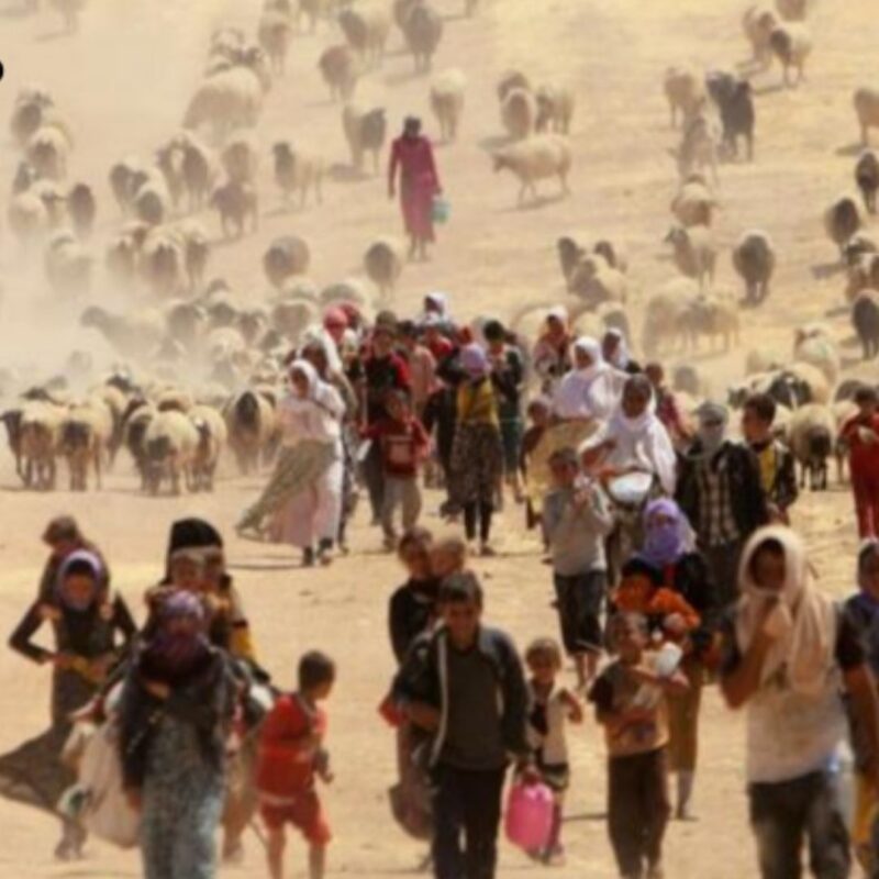 le rotte del clima weworld