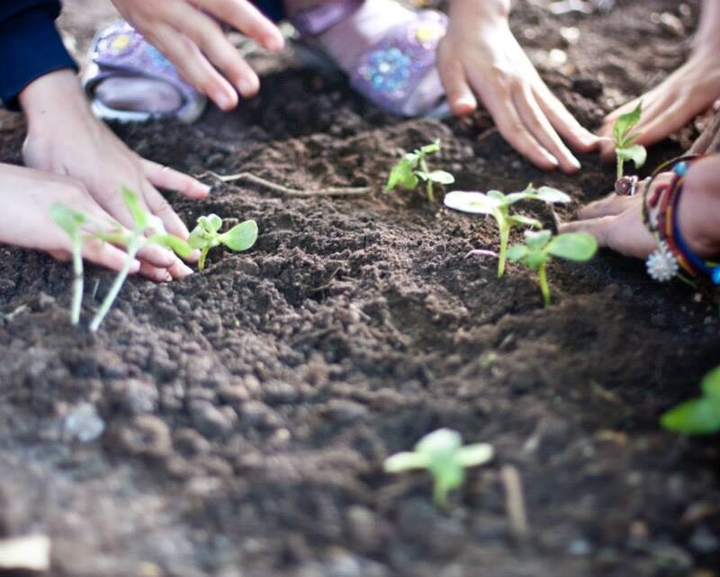 climate changing me giovani