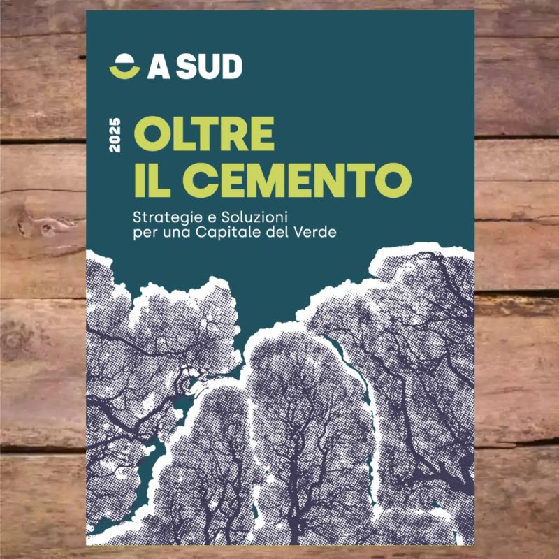 oltre il cemento report