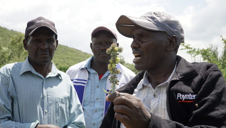biocarburanti eni kenya