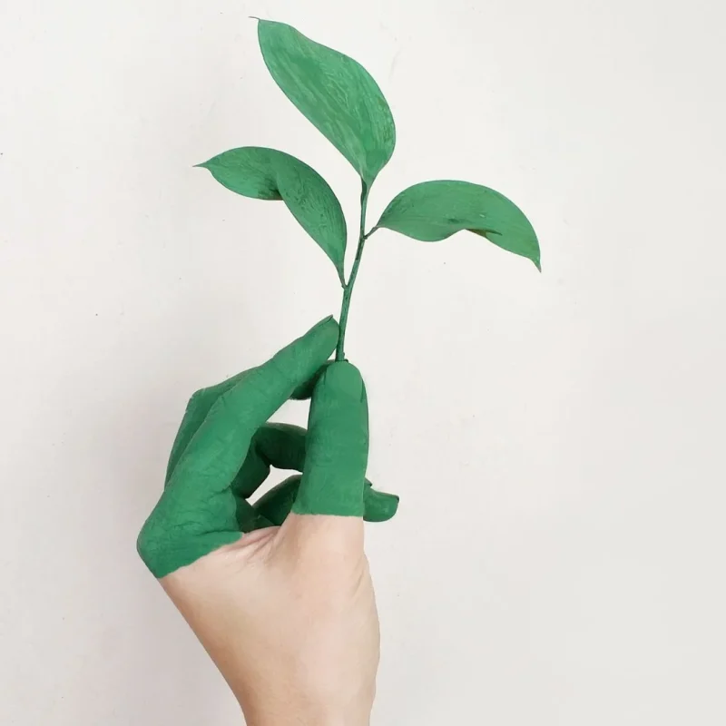 Cultura della Sostenibilità Kilowatt