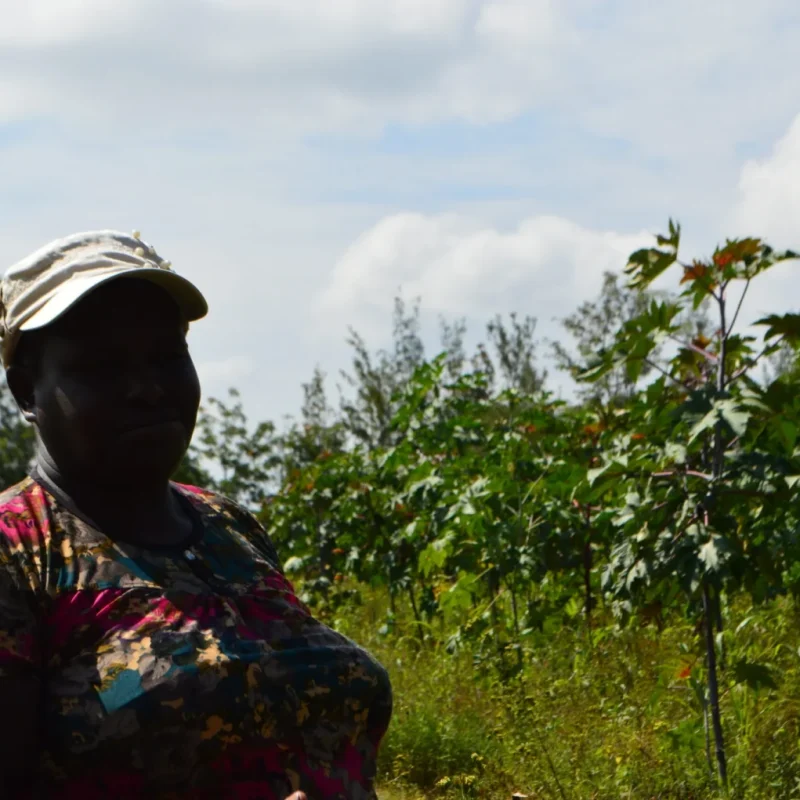 Luci ombre fondo clima