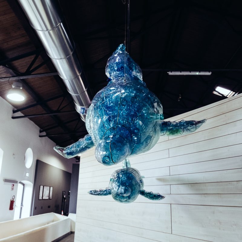 Festival Riscarti 2025